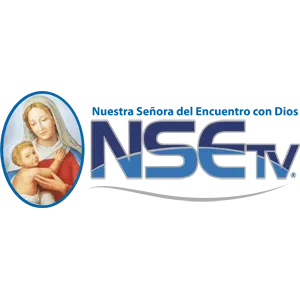 NSE Televisión