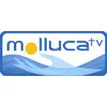 Molluca TV