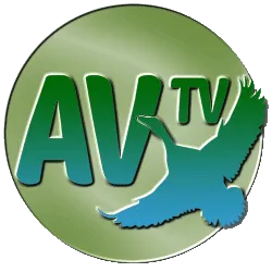 Av Tv